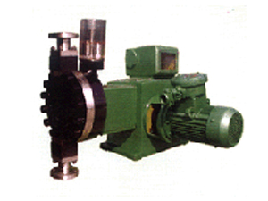 JZM��ĤӋ����